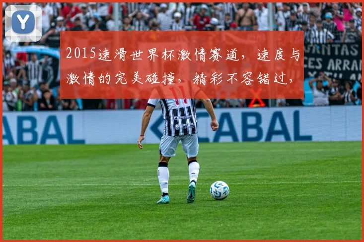 2015速滑世界杯激情赛道，速度与激情的完美碰撞，精彩不容错过，速来围观