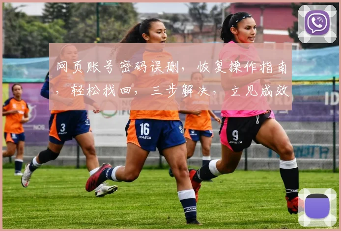 网页账号密码误删，恢复操作指南，轻松找回，三步解决，立见成效