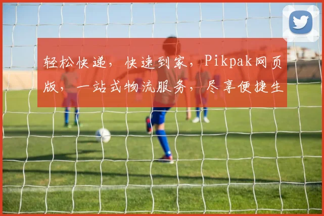 轻松快递，快速到家，Pikpak网页版，一站式物流服务，尽享便捷生活，体验无忧快递，双通道直达