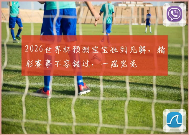 2026世界杯预测宝宝独到见解，精彩赛事不容错过，一窥究竟