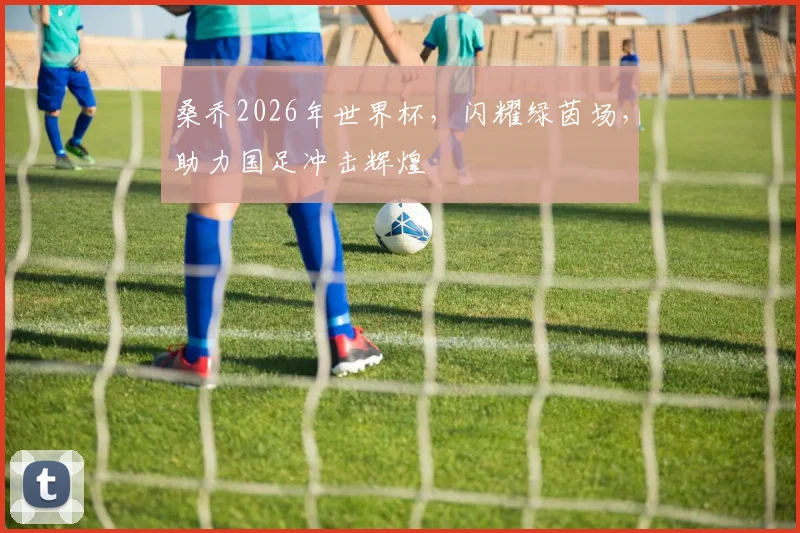 桑乔2026年世界杯，闪耀绿茵场，助力国足冲击辉煌